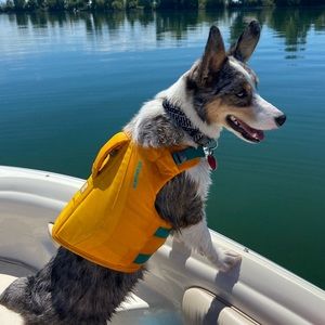 Ruffwear Dog Life Vest